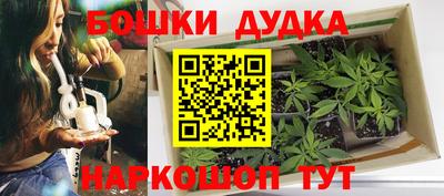 ПСИЛОЦИБИНОВЫЕ ГРИБЫ Кингисепп