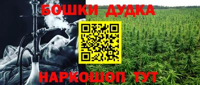 ПСИЛОЦИБИНОВЫЕ ГРИБЫ Кингисепп