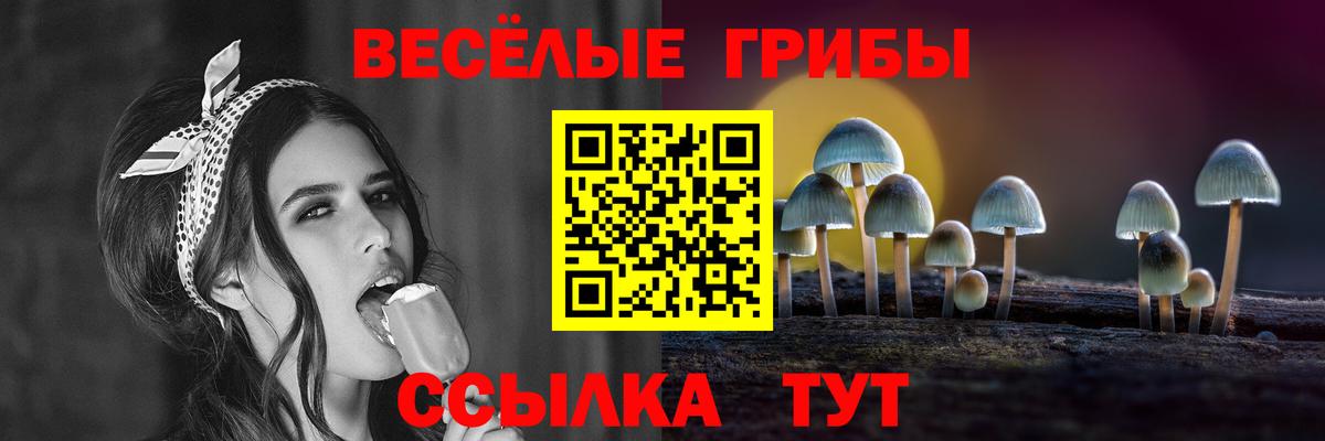 Псилоцибиновые грибы GOLDEN TEACHER Кинешма